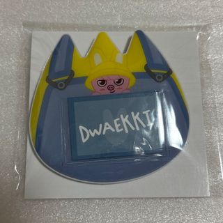 ストレイキッズ(Stray Kids)のSKZOO トゥエッキ　おなまえバッジ　StrayKids Changbin(アイドルグッズ)