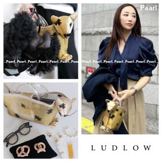 ラドロー(LUDLOW)の✨最終価格✨新品 LUDLOWラドロー 完売 Panther パンサーバッグ(ハンドバッグ)