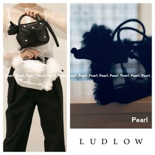 LUDLOW - ✨最終価格✨新品 LUDLOW ラドロー 完売 Poodle プードルバッグ