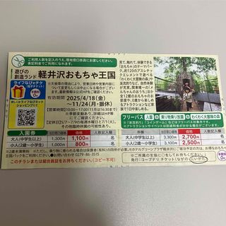 軽井沢おもちゃ王国割引券(遊園地/テーマパーク)