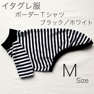 イタグレ服　 ボーダーTシャツ　ブラック　ハンドメイド　Mサイズ