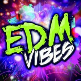[476773]E.D.M. VIBES【CD、音楽 中古 CD】ケース無:: レンタル落ち(その他)