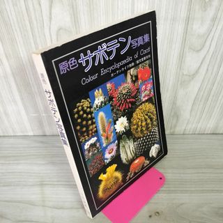原色サボテン写真集 ガーデンライフ別冊  250009(住まい/暮らし/子育て)