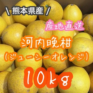 熊本県産◎河内晩柑　ジューシーオレンジ　家庭用　10kg(送料無料)(フルーツ)