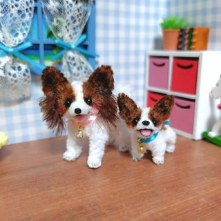パピヨンセット♪