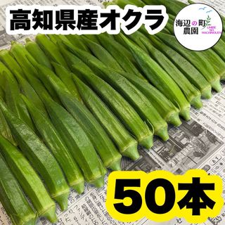 夏野菜【高知県産オクラ】A品＆B品 50本 おくら 野菜 産地直送Tsp(野菜)