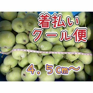長野県北部 農家直送 摘果リンゴ 箱込み ９.５kg(フルーツ)