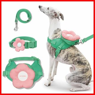 【サイズ:S】VETRESKA ベトレスカフローラ ハーネスリード リュックセッ(犬)