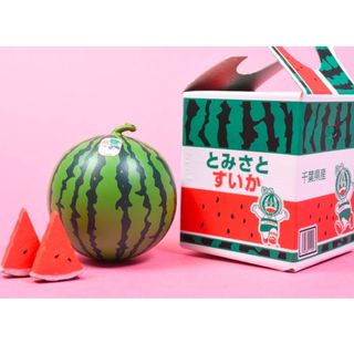 富里すいか　ミニチュアコレクション(その他)