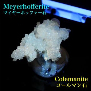 コールマン石 マイヤーホッファー石 コールマナイト MYF010 原石 天然石(その他)