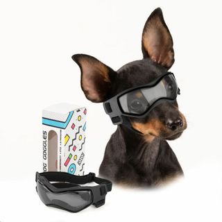 【数量限定】PETLESO犬ゴーグル 小型犬サングラス防風UVカットゴーグル保護(その他)