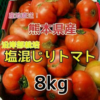 熊本県産 塩混じり トマト 約8kg(送料無料) クール便(野菜)