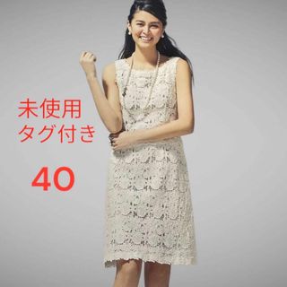 エムズグレイシー(M'S GRACY)の新品【定価4.6万円】カタログ掲載品　エムズグレイシー　総レースワンピース　40(ひざ丈ワンピース)