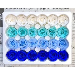 プリザーブドフラワー花径2-2.5cm 24輪　 ホワイト&ティファニーブルー