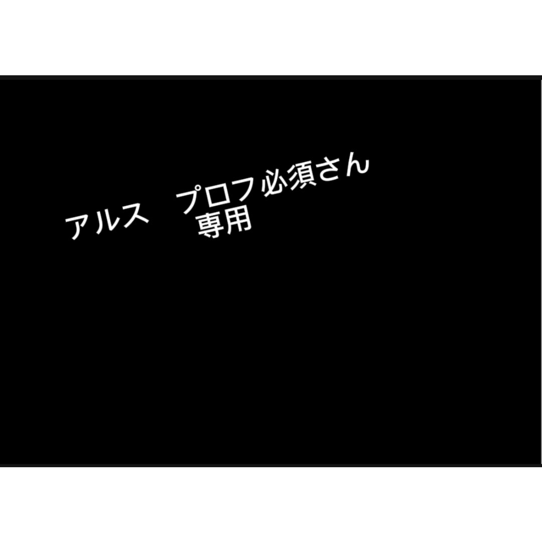 アルス　プロフ必須さん専用