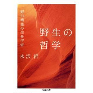 野生の哲学 野口晴哉の生命宇宙 /筑摩書房/永沢哲（文庫）
