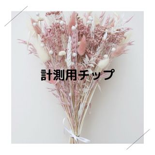 計測用チップ