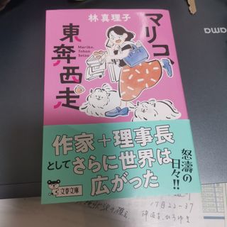 マリコ、東奔西走