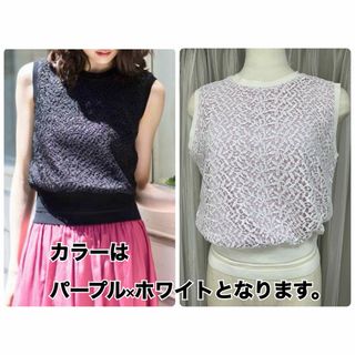 アナイ(ANAYI)のANAYI ミニリーフケミカルレース リブプルオーバー 38(Tシャツ(半袖/袖なし))