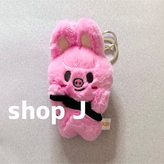 straykids skzoo マグネット ぬいぐるみ チャンビン トゥエッキ 