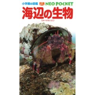海辺の生物 /小学館/白山義久（単行本）