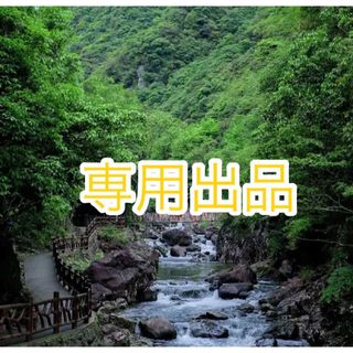 まぉ様専用出品　合計20枚(フード/ドリンク券)