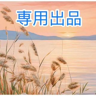 ゴンだわん様専用出品　合計40枚(フード/ドリンク券)