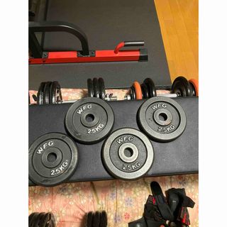 ワイルドフィット2.５kgプレート4枚セット(トレーニング用品)