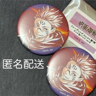 ジュジュツカイセン(呪術廻戦)の呪術廻戦　Ani-Art 第7弾 マット缶バッジ　ver.B 両面 宿儺(バッジ/ピンバッジ)