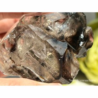 《ワニ水晶＊スモーキーエレスチャル×ジャガレー》