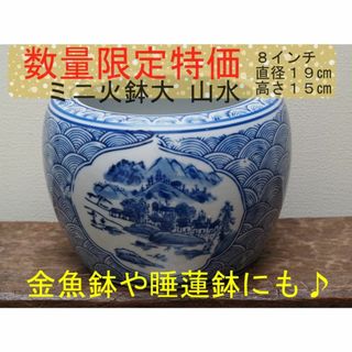 【数量限定特価】ミニ火鉢大のみ　山水　花手水　メダカ鉢　稚魚　約5号 8インチ(アクアリウム)