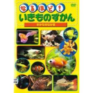 【中古】DVD▼なるほど!いきものずかん さかなのなかま レンタル落ち(キッズ/ファミリー)