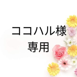 専用　ワコナルビューティー　300g【3g×100本】桑の葉末加工食品(青汁/ケール加工食品)