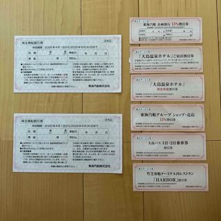 東海汽船　株主優待　株主乗船割引券 ２枚&各種割引サービス券　各1枚(その他)