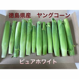 ヤングコーン 徳島県産 ピュアホワイト 無農薬(野菜)