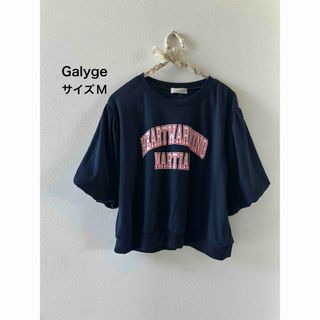 Galyge カットソー(Tシャツ(半袖/袖なし))