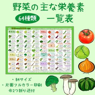 野菜の主な栄養素一覧表【B4ミニポスター】