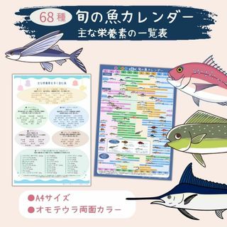 季節を告げる旬の魚カレンダー　魚の栄養素一覧表　A4サイズ両面カラー　お魚たべて(料理/グルメ)