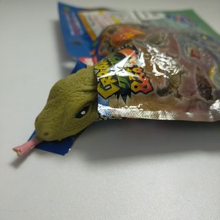 クロコダイル＆co　ナイルオオトカゲ