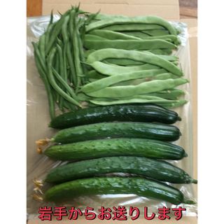 ラクマ価格！野菜詰め合わせ　ネコポス(野菜)