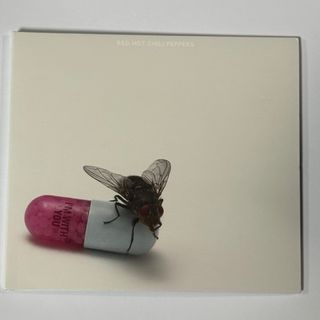 RED HOT CHILI PEPPERS / I’M WITH YOU