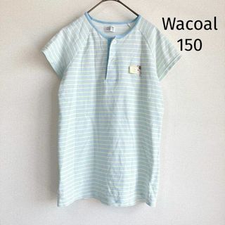ワコール Wacoal Tシャツ　ポロシャツ 150 ボーダー　犬