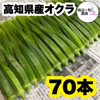 夏野菜【高知県産オクラ】A品＆B品 70本 おくら 野菜 産地直送Tyv(野菜)