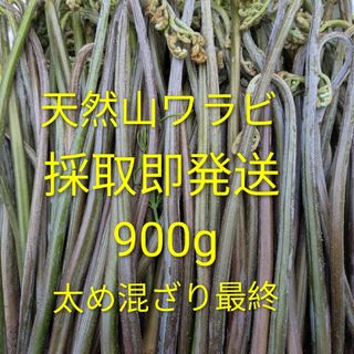 宮城県産天然山ワラビ太め混ざり最終(野菜)