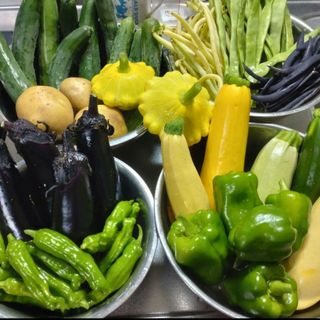 野菜詰め合わせセット　70サイズいっぱい　無農薬栽培(野菜)