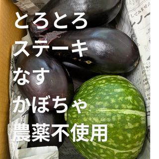とろとろステーキ なす かぼちゃ 約4㌔(箱込み) 農薬不使用(野菜)