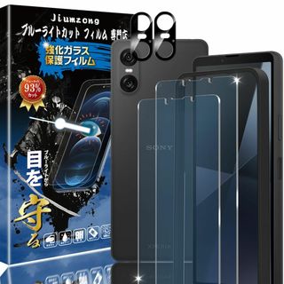 【ブルーライトカット 93%】【2+2枚入り】XPERIA 10 VI 用の（2