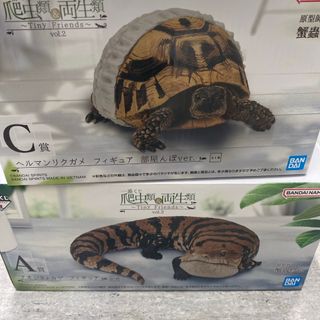 バンダイ(BANDAI)の一番くじ 爬虫類＆両生類vol.2 A賞　アオジタトカゲ　C賞　ヘルマンリクガメ(その他)