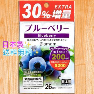 ブルーベリー サプリメント ブルーベリーサプリ 1袋 【30%増量】【26日分】(その他)