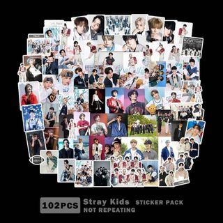 【102枚】Stray kids スキズ シールステッカー　フレークシール(アイドルグッズ)